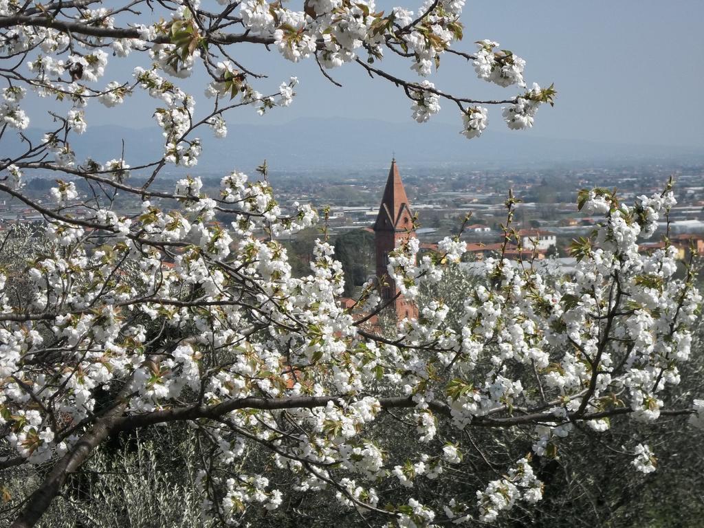 Апартаменты Il Campano Коллоди Номер фото